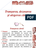 Transari