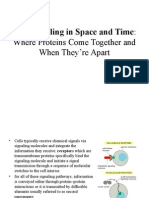 Cell Signaling in Space and Time:: Where Proteins Come Together and When They're Apart