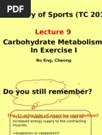 Carbohydrate Metabolism in Exercise