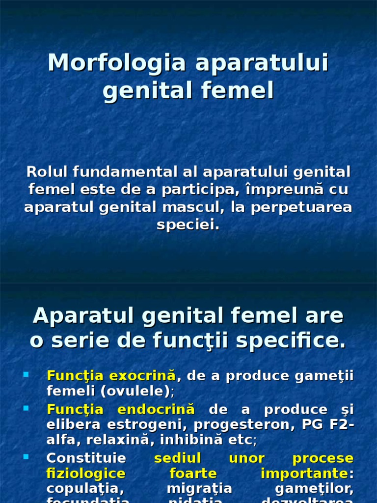 Morfologia Aparatului Genital Femel | PDF