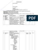 Plan de Lectie Temperament