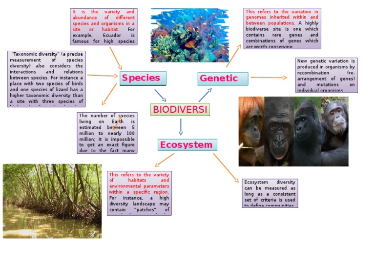 38 Ecosystem Concept Map Worksheet Answers - combining like terms worksheet