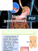 Sistema Gastrointestinal