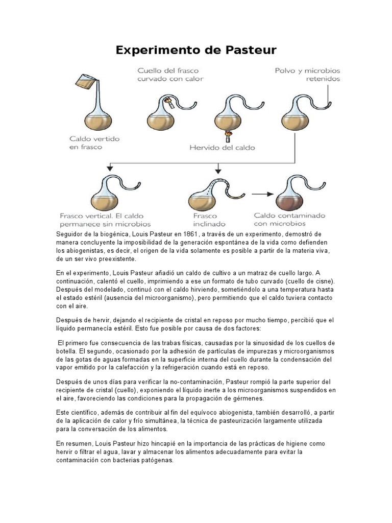 Teoría de La Generación Espontánea PDF Naturaleza Biología