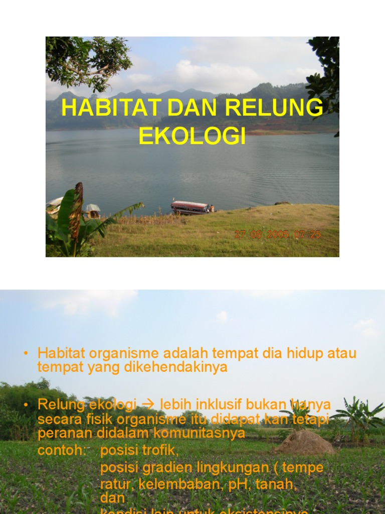 Pengertian Habitat Dan Contohnya Mosaicone