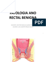 patologiaanorectalbenigna-140404225149-phpapp01.pdf