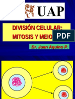 BBBBBB Mitosis DR Juan 2013