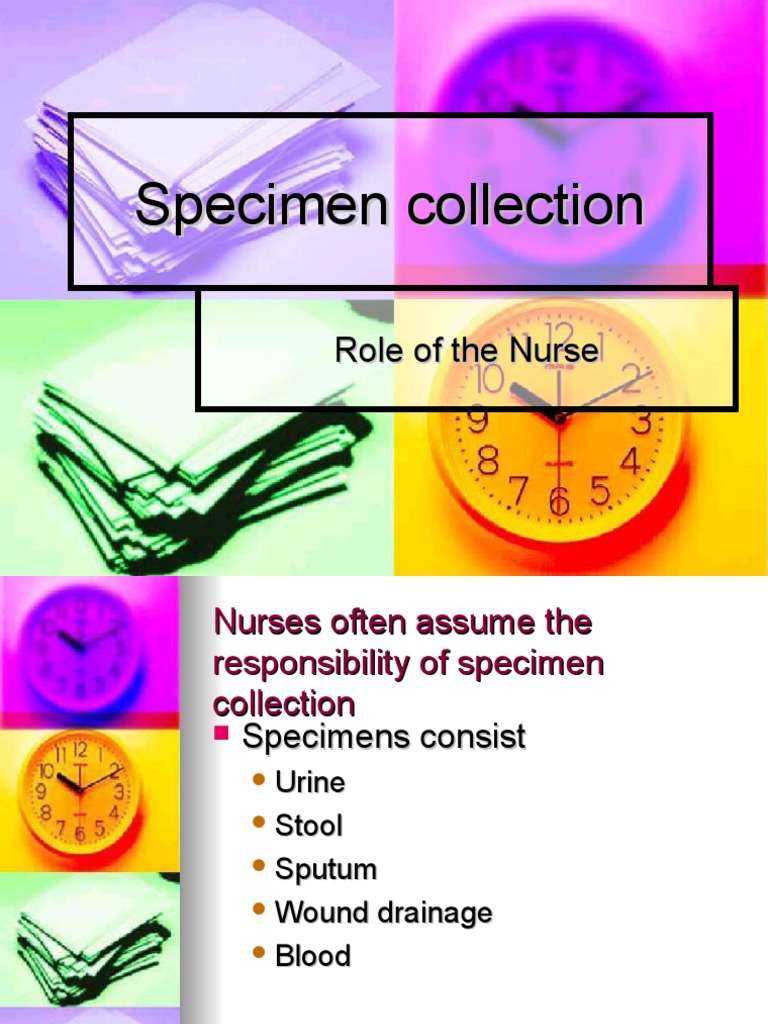 Specimen Collection PDF Urine Medicine