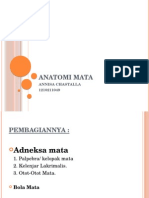 Anatomi Mata