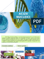 Acizi Nucleici Rev