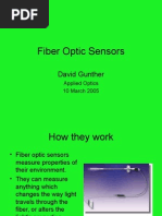 2005 Gunther Fiber Optic Sensors