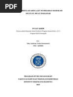 Download MODEL SIRKULASI ARUS LAUT DI PERAIRAN MAHAKAM SELATAN SELAT MAKASSAR by Immanuel SN257617999 doc pdf