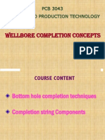 Wellbore Completion Concepts