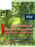 Producción de Tomates Orgánicos en Chorety – Santa Cruz -Bolivia