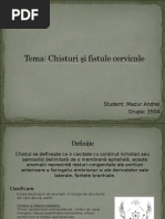Tema Chistul.ppt