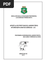 APOSTILA-LIC.pdf