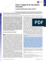 Human Infrared Vision Is Triggered by Two-Photon Chromophore Isomerization