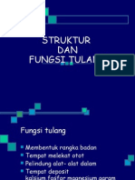 Fungsi & Struktur