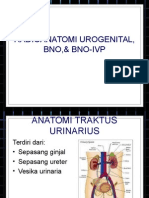 Radioanatomi Gu Bno Ivp