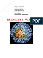 (E-Book PTBR) Epidemiologia de Hepatites Virais