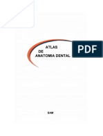 atlas de anatomía dental