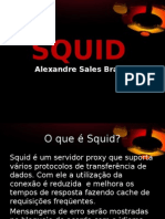 Squid3 