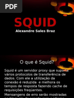 Squid3 