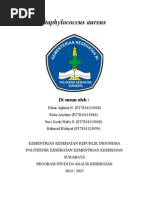 Download Staphylococcus Aureus 1 by Dian Nur Rahmawati SN257693837 doc pdf