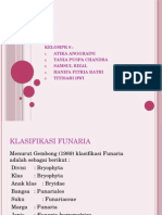 lumut funeria ppt