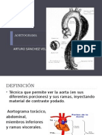 AORTOGRAMA