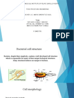  Estructura de Bacterias