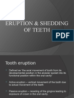 Tooth Eruption & Shedding Mechanisms