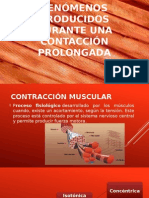 Contraccion Muscular Fisiologia