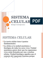 Sistema Celular