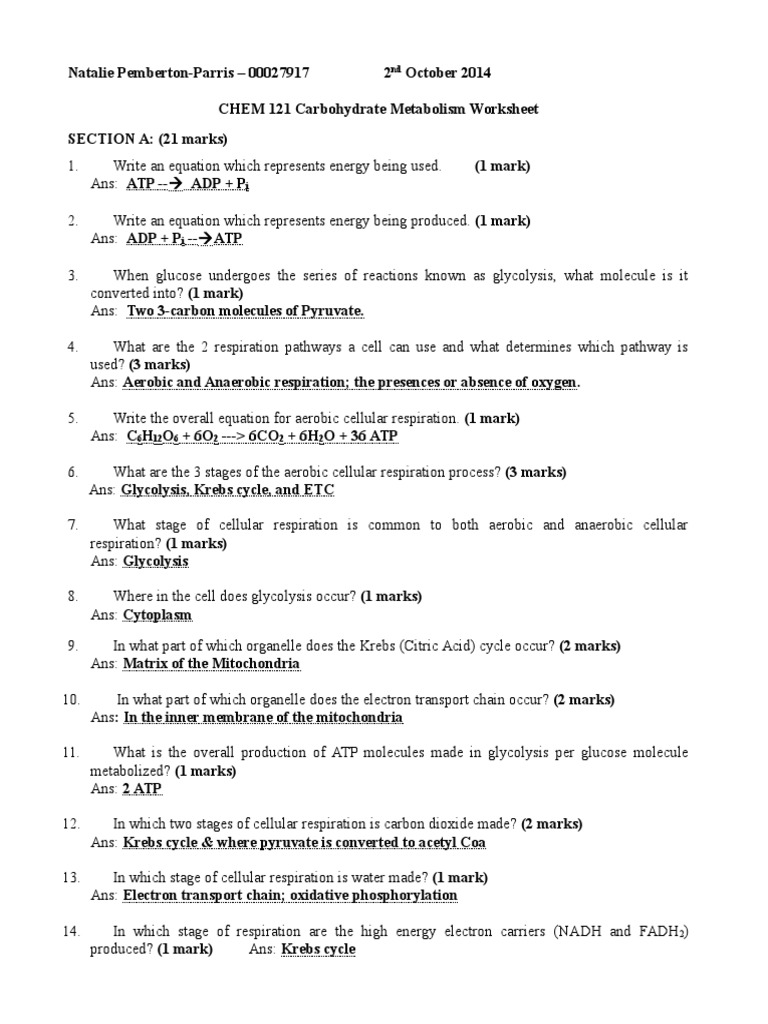 Carbohydrate Metabolism Worksheet Cellular Respiration Glycolysis
