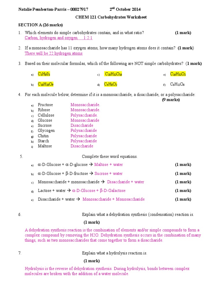 carbohydrates-worksheet-carbohydrates-polysaccharide