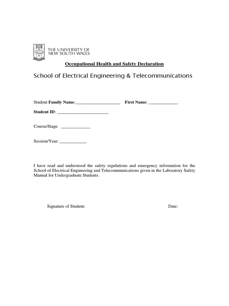 Safety Declaration PDF