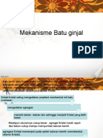 Mekanisme Batu Ginjal