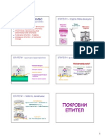 7. predavanje Avramovic.pdf