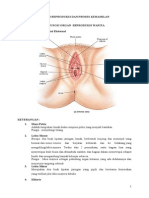 SISTEM REPRODUKSI Dan KEHAMILAN