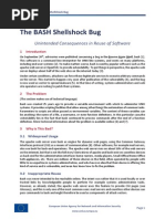 Download Shellshock Flash Note by Pancho SN257745865 doc pdf