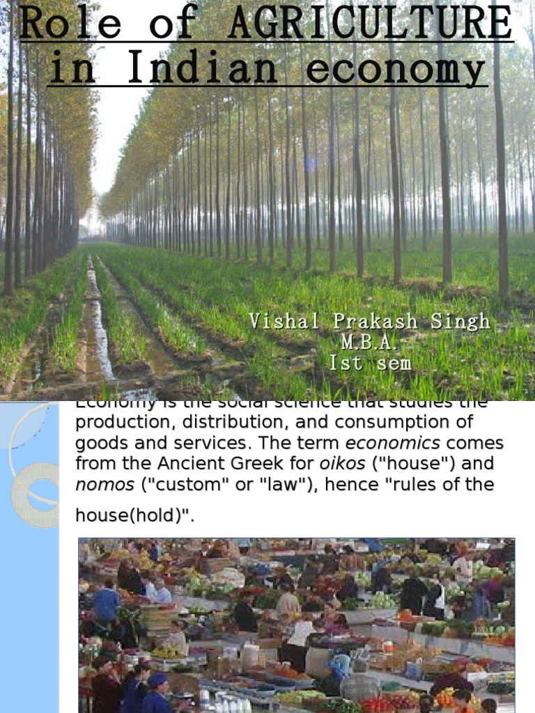 Role of Agriculture in Indian Economy | Agriculture | Food ...