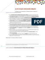 Carta de Derechos de La Mujer Embarazada Indígena