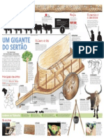 Carro de boi: a engenharia e as peças do gigante do sertão