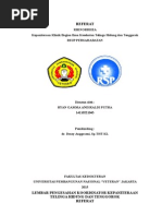 Download Referat Tht - Rhinorrhea by Ryan Gap SN257759402 doc pdf