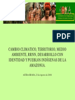 Cambio Climatico, Territorio, Medio Ambiente, RRNN, Desarrollo Con Identidad y Pueblos Indígenas de La Amazonia.