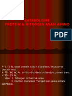 Metabolism e