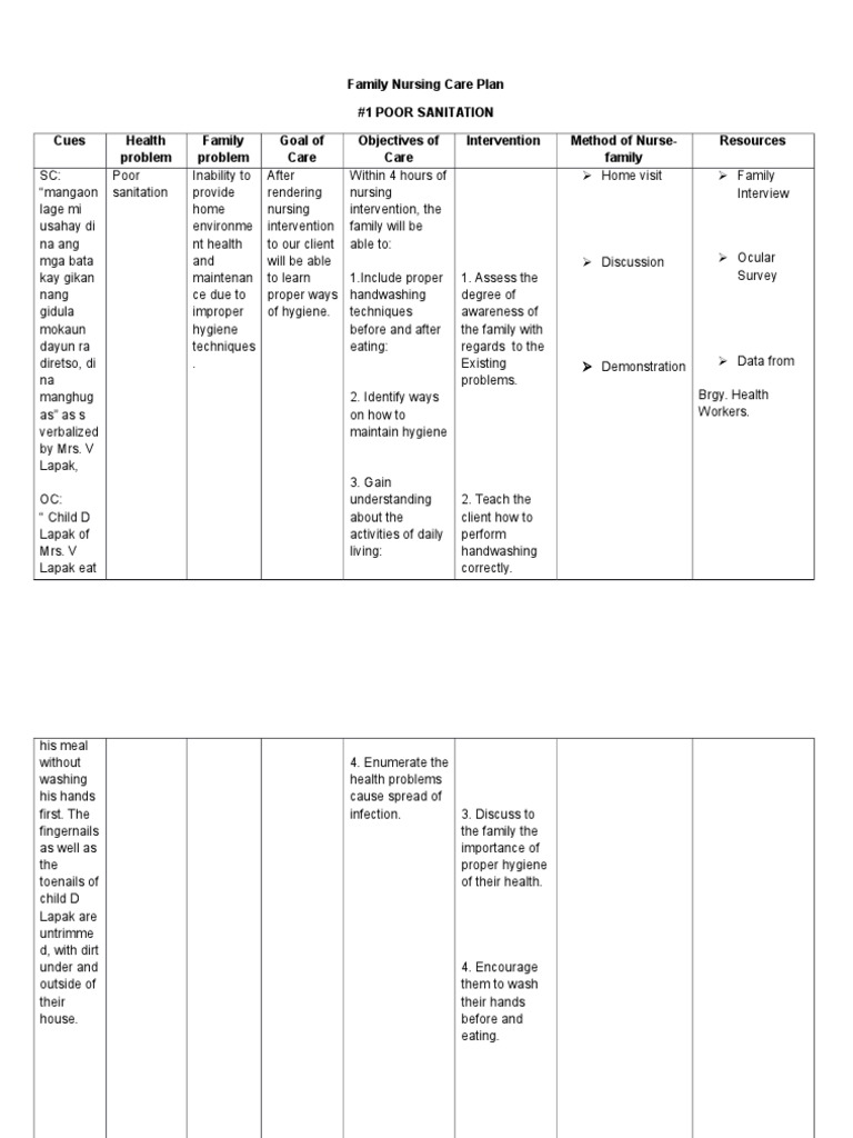Family Nursing Care Plan Hand Washing Hygiene