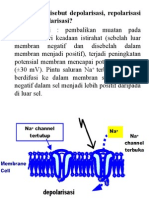 6_SISTEM SARAF.pptx