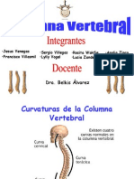 Seminario Columna vetebral